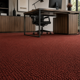 Moquette 
